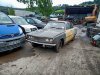 IMG_20200725_123655_6_1.jpg