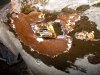 DSCN5549.JPG