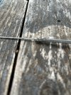 IMG_4703.jpeg