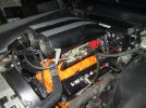 IMG_7826.JPG