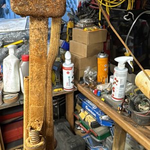 Media '8C495F76-35D5-4B12-AC93-6EBDA914941E.jpeg' in category 'Example category'